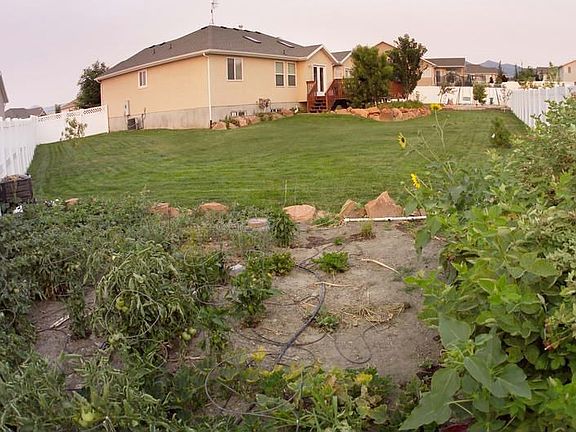 back yard