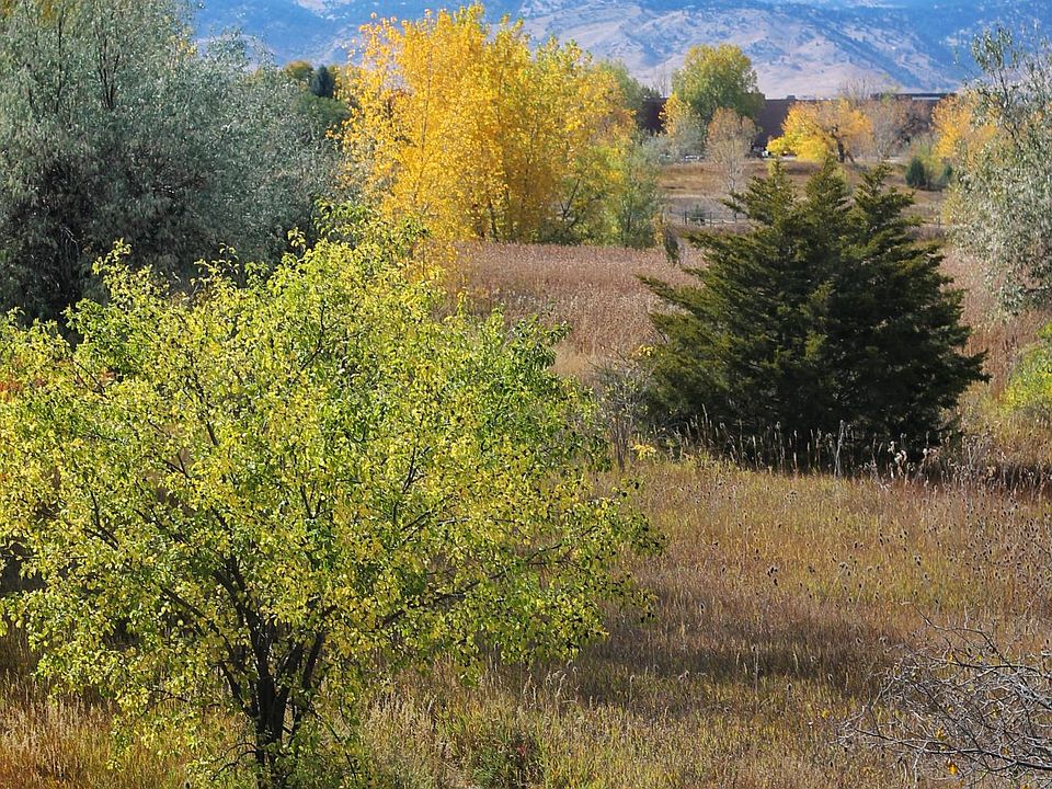View of open space and Indian Peaks Wilderness from unit