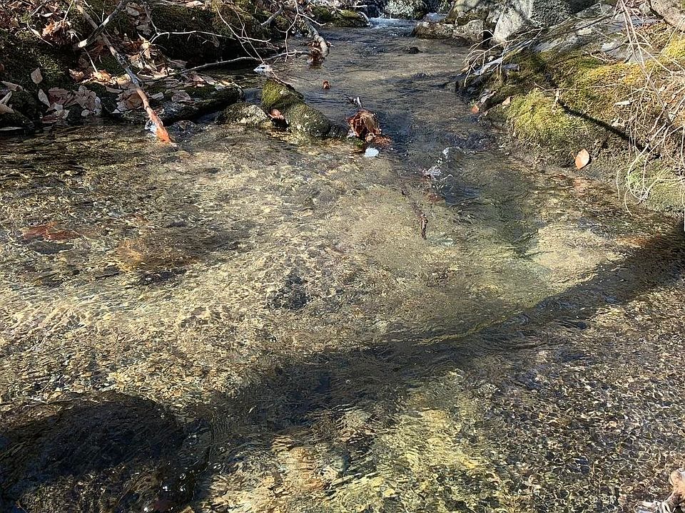 2nd image of 50 Tuttle Road