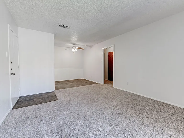 307 Judy Ln — Photo 16