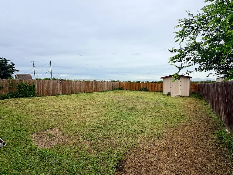 Backyard