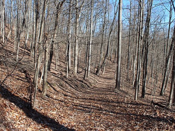 South facing hardwood slope with nice trail system