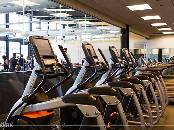 Screen Shot 2019-02-07 at 11.53.37 AM