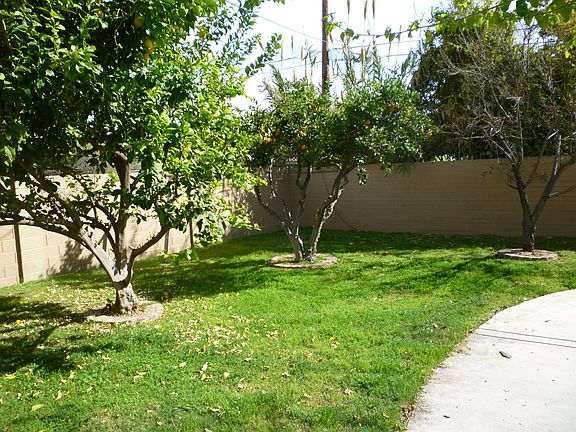 2nd image of 1037 E Denton Ln
