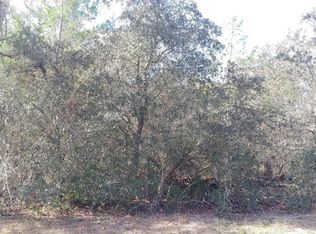 SW 168th Loop, Ocala, FL 34473