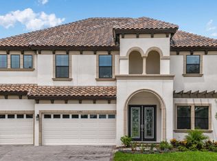 11343 Hawks Fern Dr, Riverview, FL 33578