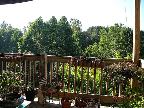 View from deck