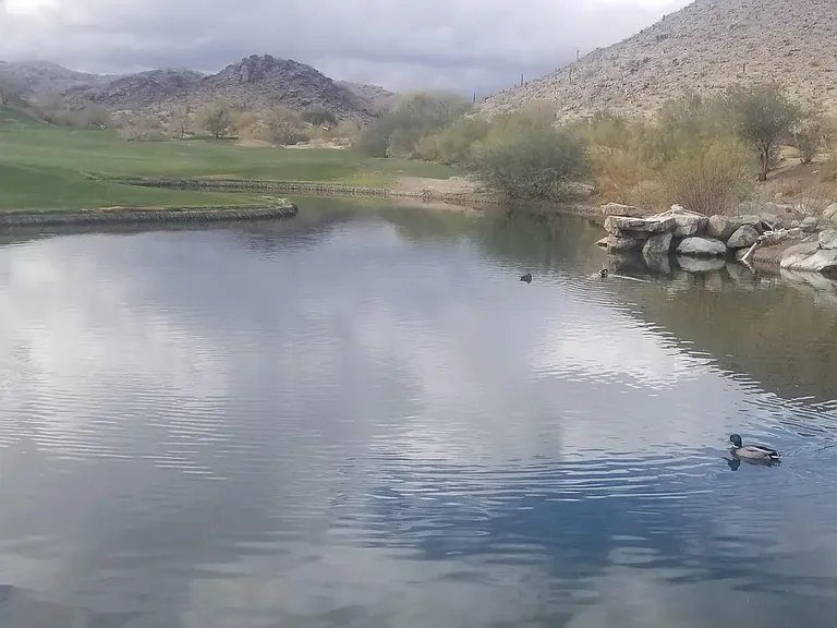 Arizona Grand golf course
