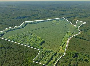 Reich Rd, Golden, MS 38847