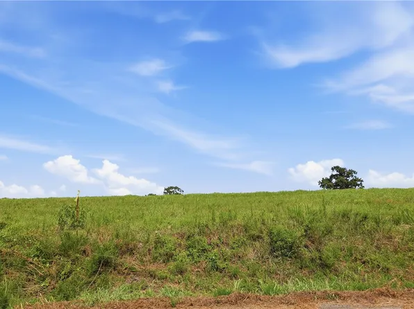 TRACT 3 Llewellyn Loop, Hector, AR 72843