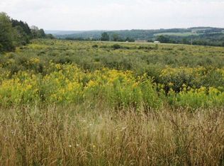 0 Moore Rd, Bath, NY 14810