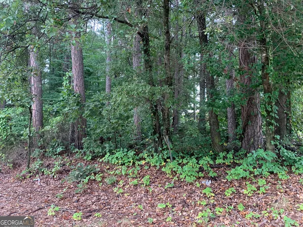 0 Highway 17 #Alt, Toccoa, GA 30577