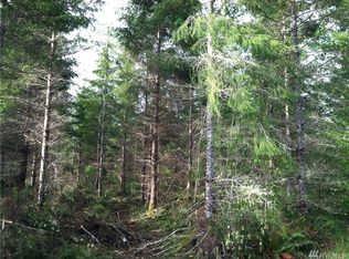 11 Paine Rd, Castle Rock, WA 98611