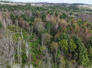 9155 Smith Rd Lot 74, Painted Post, NY 14870