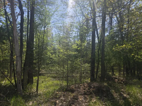 Lots 9 10 N Lakeshore Dr, Harrisville, MI 48740