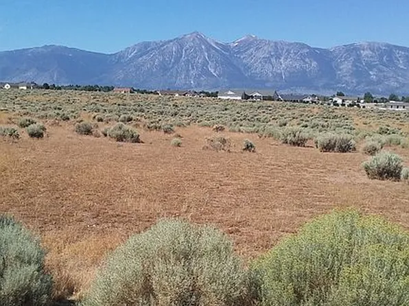 1770 Coyote Rd, Minden, NV 89423
