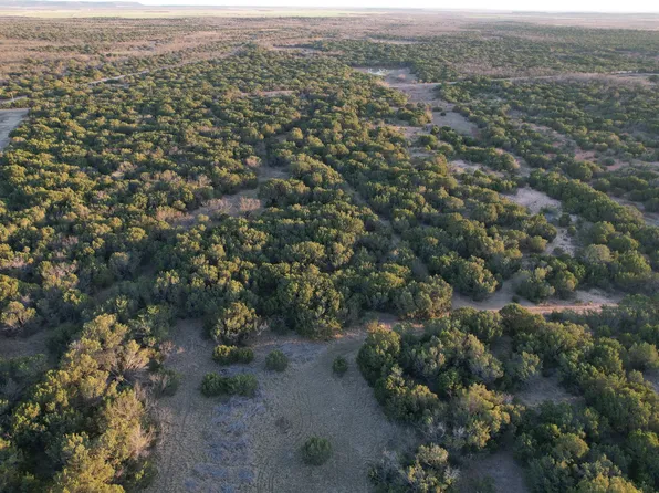 207 Cr, Ovalo, TX 79541