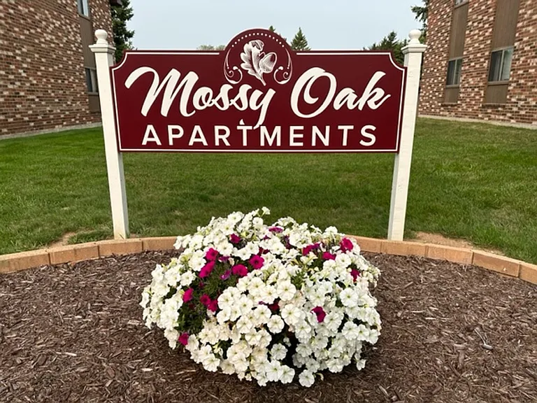 2989 Mossy Oak Cir — Photo 1