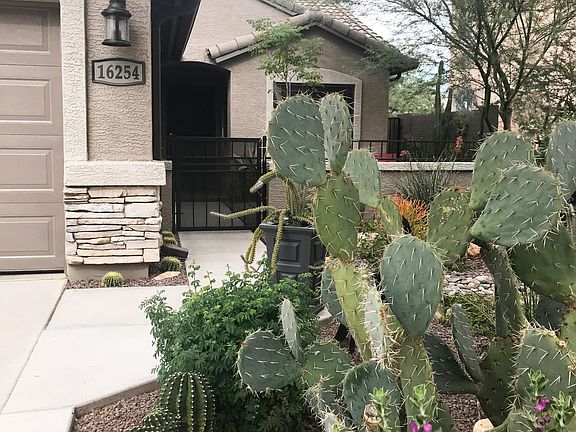 2nd image of 16254 W Larkspur Dr