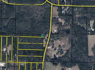 LOT 50/51 Poplar Dr, Vernon, FL 32462