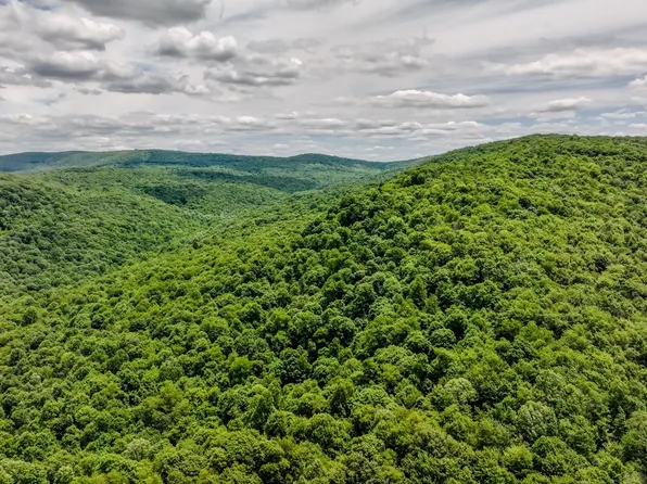 0 Pressley Ridge Rd, Ohiopyle, PA 15470