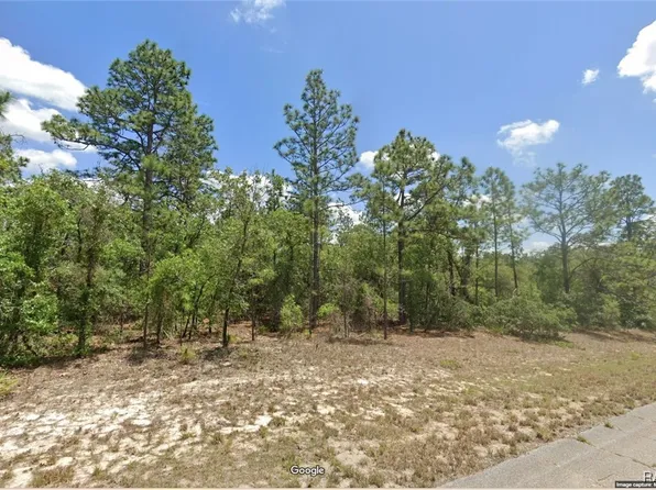 9884 N Lathyrus Ter, Citrus Springs, FL 34433