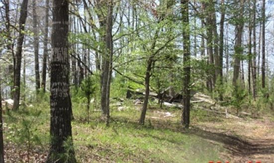 2nd image of 2438 Highway 298