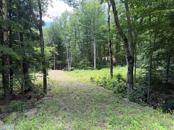 151 Red Coat Lane, Stoddard, NH 03464