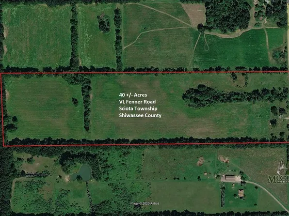 Fenner Rd, Laingsburg, MI 48848