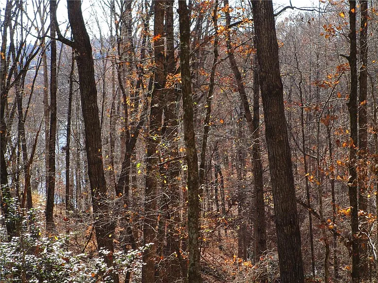 2429 Thompson Mill Rd — Photo 51