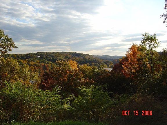 Backyard view