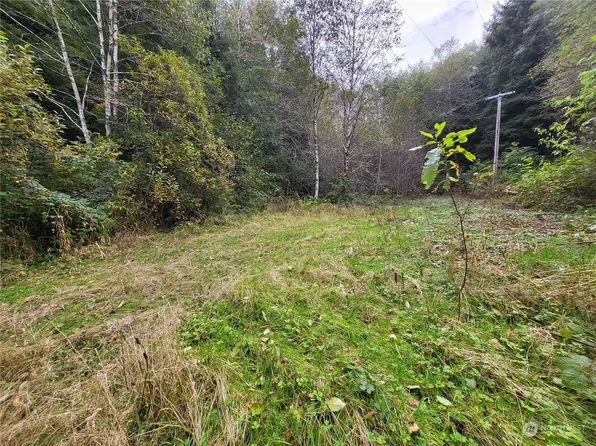 115 Sekiu River Road, Sekiu, WA 98381