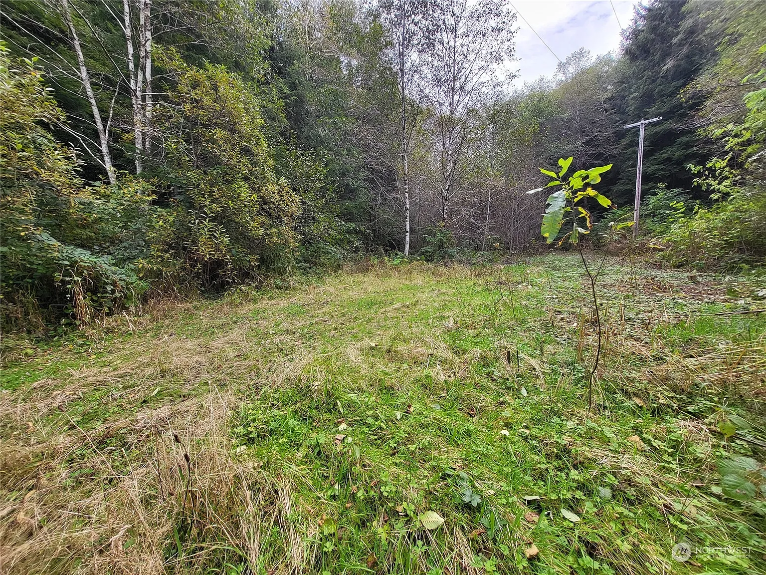 115 Sekiu River Road photo 1