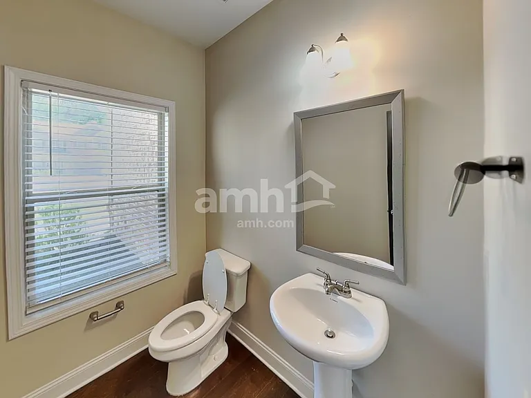 1259 Victoria Walk Ln — Photo 9
