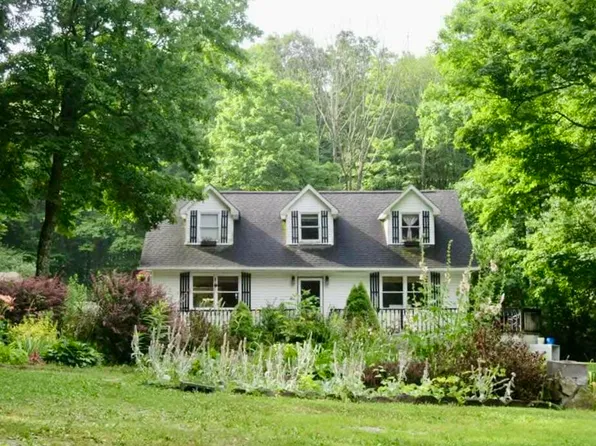 4336 Grassy Creek Rd, Leivasy, WV 26676