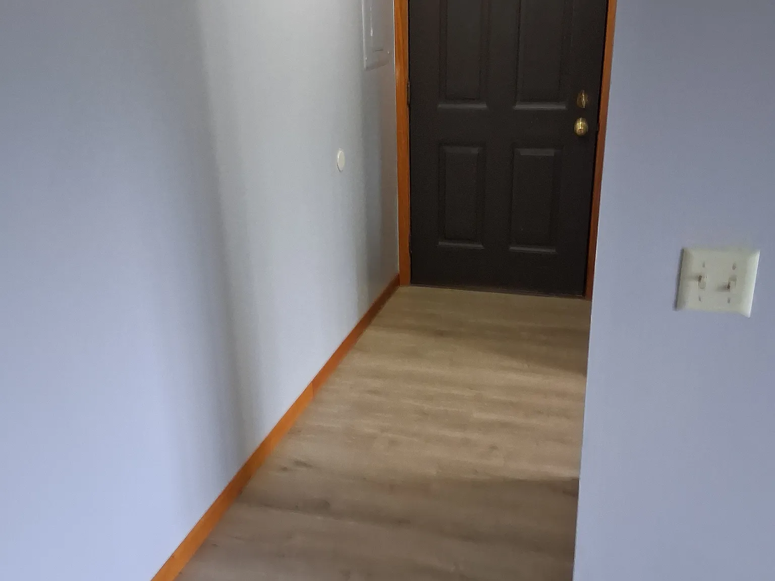 1 bed, 700 sqft, $1,225 — Photo 3