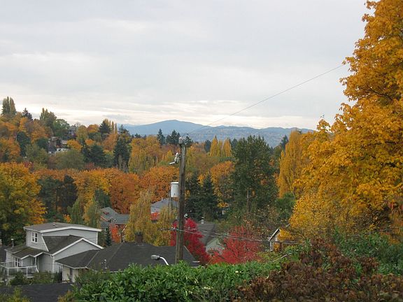 Autumn view from master