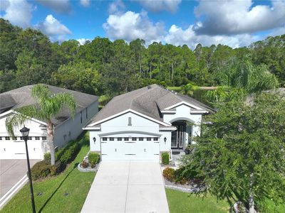 9941 Saunton Dr, San Antonio, FL, 33576