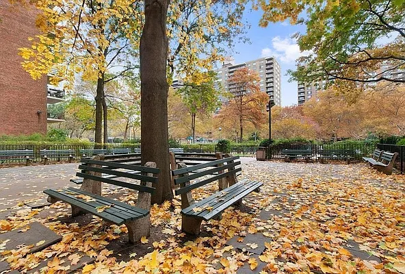 Rented by Douglas Elliman | media 4