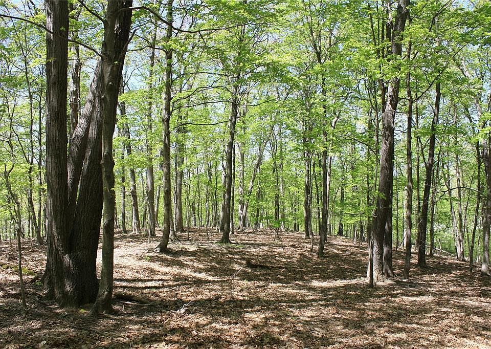 11 Steeple Rock Dr, Defiance, MO 63341 Zillow