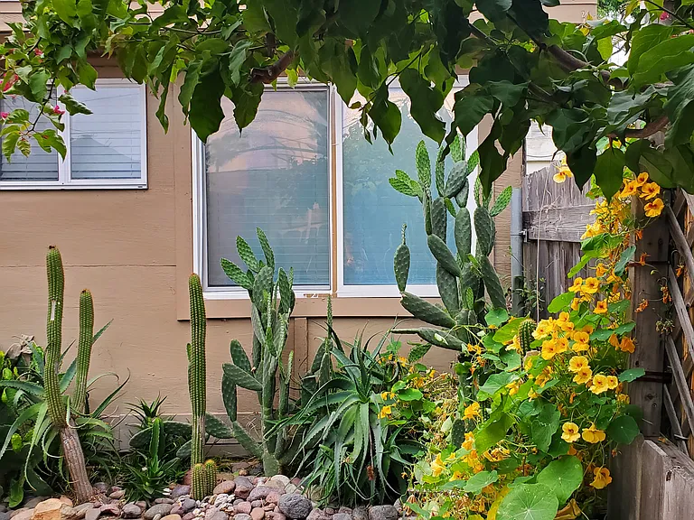 911 Hornblend St — Photo 16