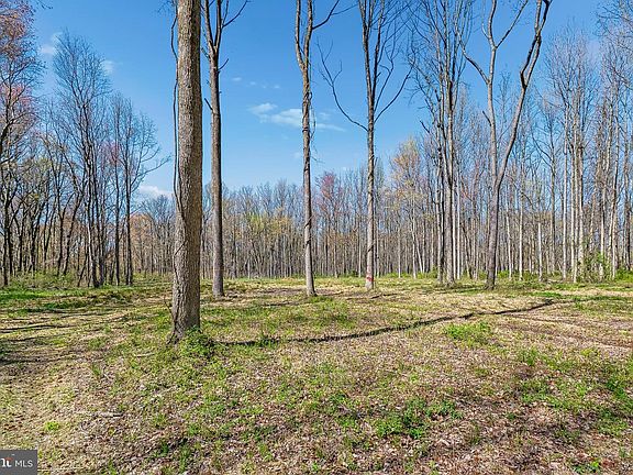 5th image of 697 Garwood Rd