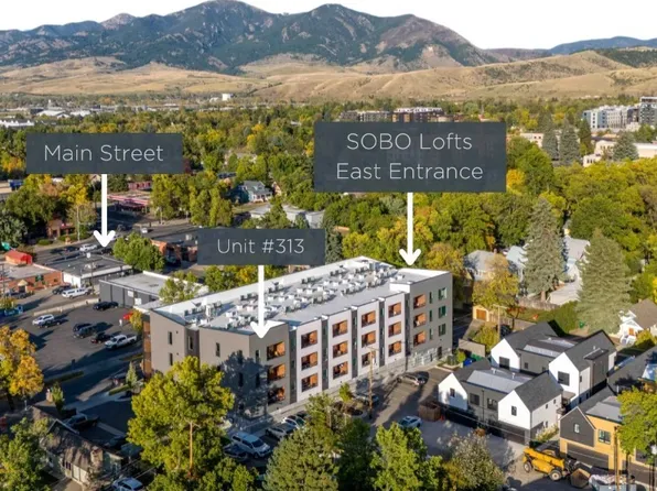 718 W Babcock St Unit 313, Bozeman, MT 59715