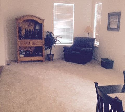 Great Room Living and Dining Areas