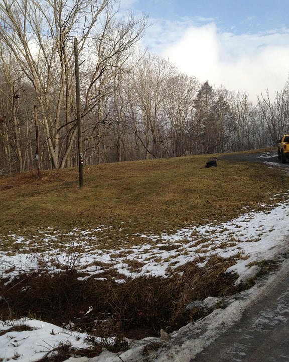 2nd image of 1093 River Rd