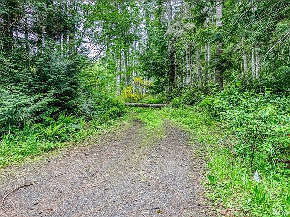 The driveway is about 100 feet from the north end of the property.  You will see some pink ribbons at the approximate area of property corner on the north side.  