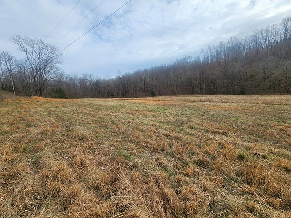 4th image of 10 Blowing Springs Rd
