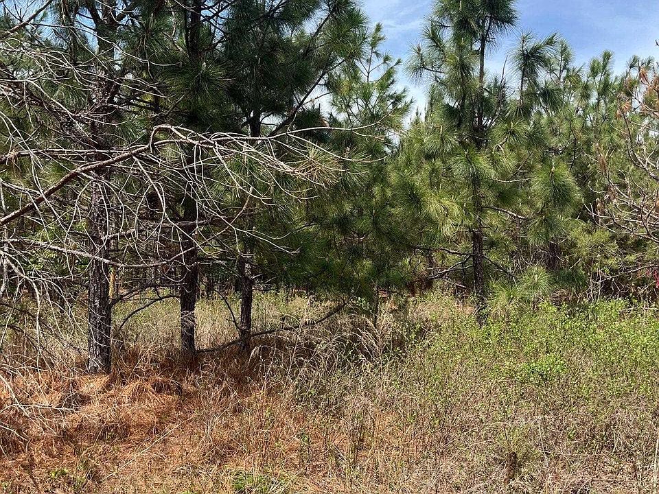 2nd image of Bdf 6 Beaverdam Rd #Bdf-6