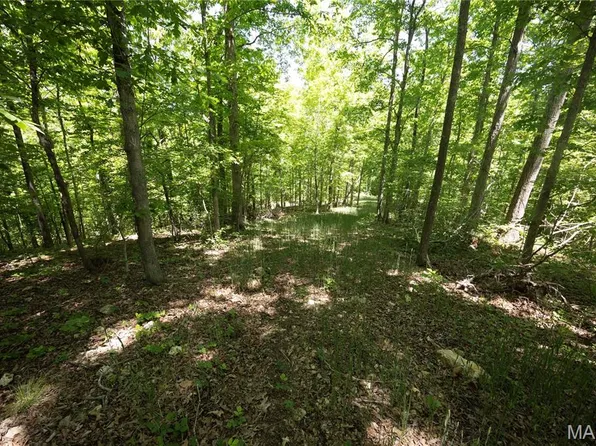 TRACT 5 Bcr 930, Patton, MO 63662