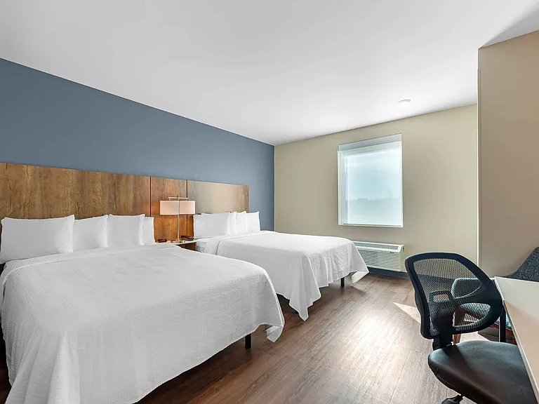 Studio Suite - 2 Queen Beds